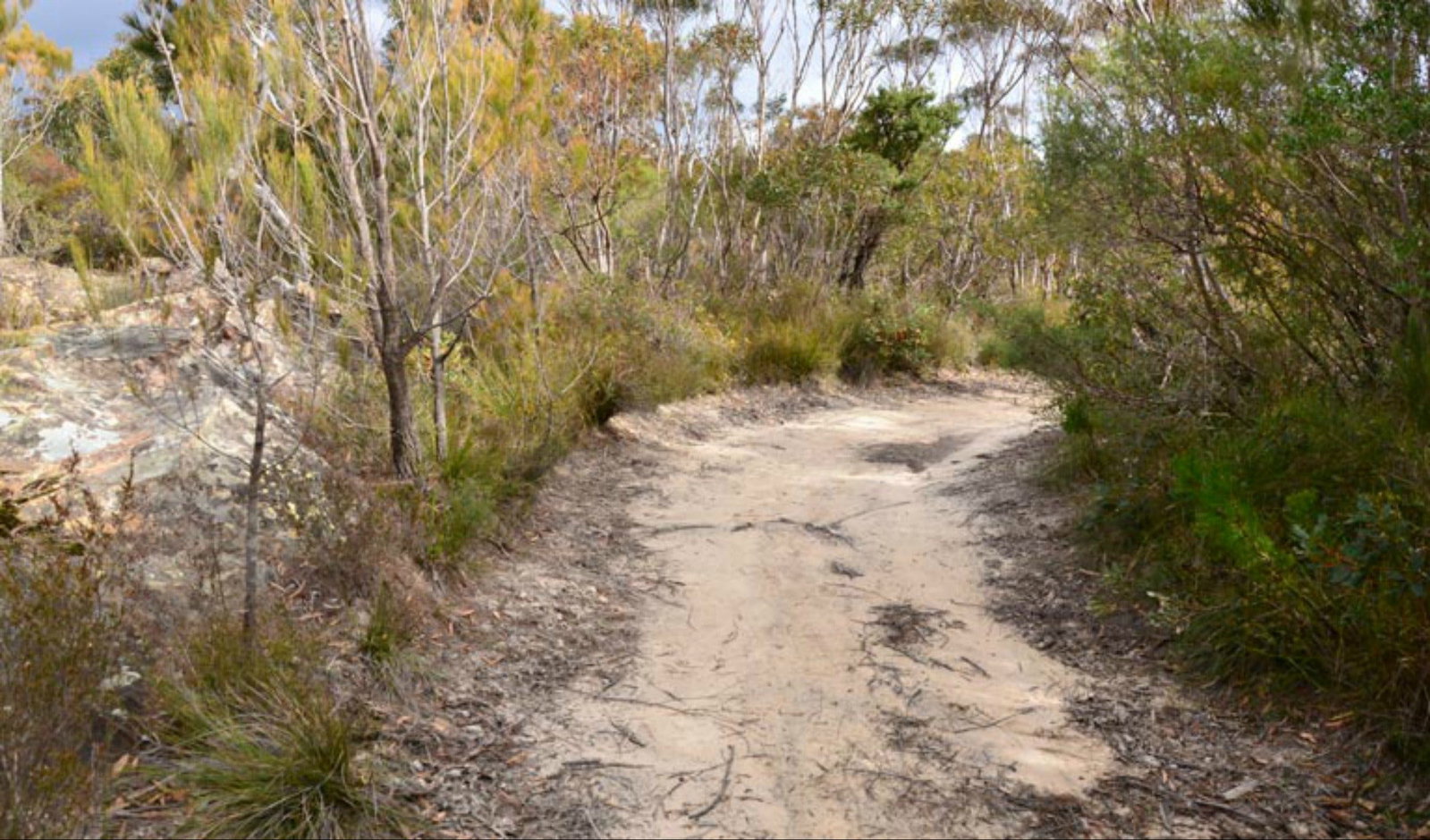 Browns Mountain NSW Palm Beach Accommodation