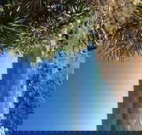 Richmond Valley Cultural Heritage Self Drive Tour