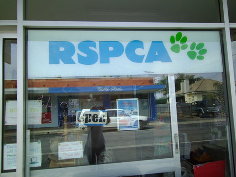 R.S.P.C.A Opportunity Shop - Palm Beach Accommodation 0