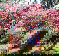 Sculpture at Petana - Palm Beach Accommodation