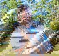 Serpentarium Wildlife Park Tasmania - Palm Beach Accommodation