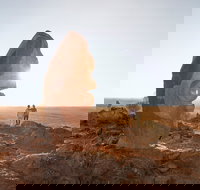 The Living Desert and Sculptures - Palm Beach Accommodation