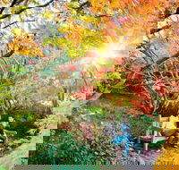 The Blue Mountains Botanic Garden Mount Tomah - Palm Beach Accommodation