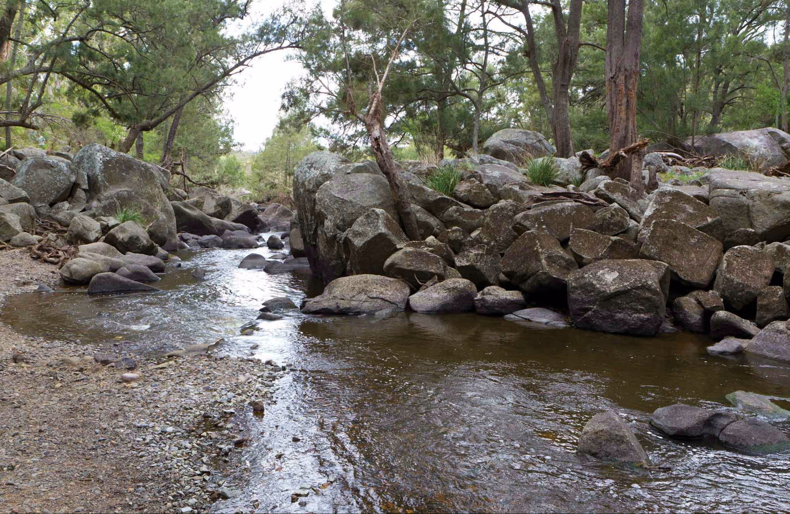 Thalgarrah NSW Palm Beach Accommodation