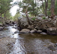 Threlfall Walking Track - Palm Beach Accommodation
