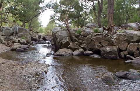 Threlfall Walking Track - Palm Beach Accommodation 0