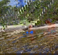 Tjaynera Falls Sandy Creek - Palm Beach Accommodation