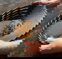 Tuena Panning for Gold - Palm Beach Accommodation