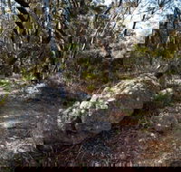 Tuross Falls walking track - Palm Beach Accommodation