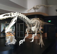 UNE Natural History Museum - Palm Beach Accommodation