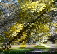 Wattle Park - Palm Beach Accommodation