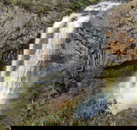 Waterfall Way Scenic Drive - Palm Beach Accommodation