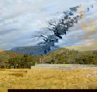 Weddin Mountains National Park - Palm Beach Accommodation
