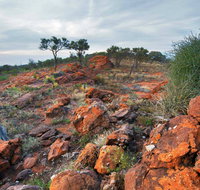 Western Ridge Walk - Palm Beach Accommodation