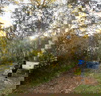 Yarrangobilly Caves  River walk