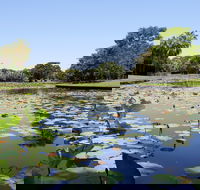 Anderson Park Botanic Gardens - Palm Beach Accommodation