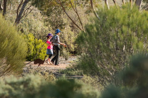 Australian Arid Lands Botanic Garden - Palm Beach Accommodation 0