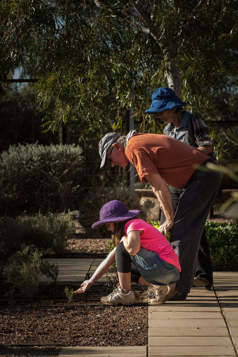 Australian Arid Lands Botanic Garden - Palm Beach Accommodation 1