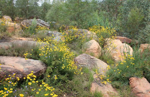 Ben Hall's Cave Walking Track - Palm Beach Accommodation 0