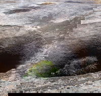 Blowhole and the Rocks - Palm Beach Accommodation