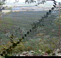 Burrabadine Walking Track - Palm Beach Accommodation