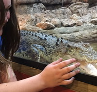 Canberra Reptile Zoo - Palm Beach Accommodation