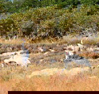 Cape Keraudren Nature Reserve