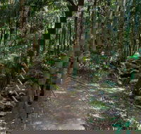 Cascades Walk - Palm Beach Accommodation