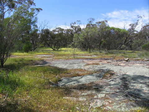 Christmas Rock Walk - Palm Beach Accommodation 0