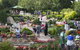 Cockington Green Gardens - thumb 1