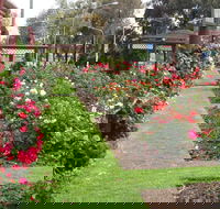 Cowra Rose Garden - Palm Beach Accommodation