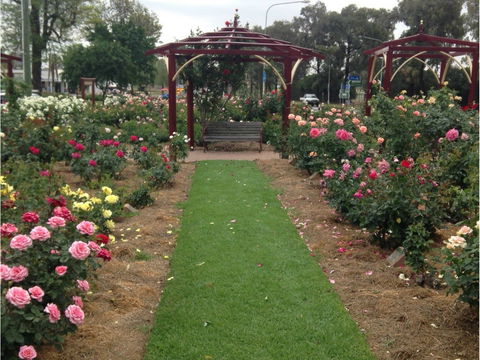 Cowra Rose Garden - Palm Beach Accommodation 1