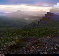 Cunninghams Gap and Spicers Gap Main Range National Park - Palm Beach Accommodation
