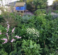 Down to Earth Permaculture - Palm Beach Accommodation