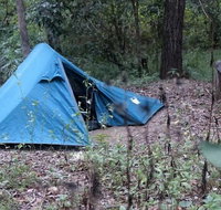 England Creek Bush Camp - Palm Beach Accommodation