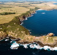 Fingal Beach Walk - Palm Beach Accommodation
