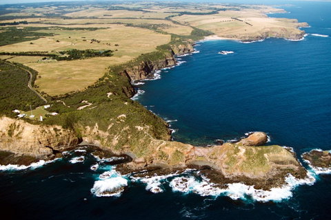 Fingal Beach Walk - Palm Beach Accommodation 0