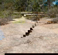 Finchley Cultural Walk - Palm Beach Accommodation