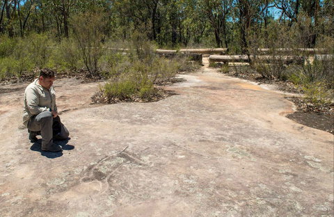 Finchley Cultural Walk - Palm Beach Accommodation 0