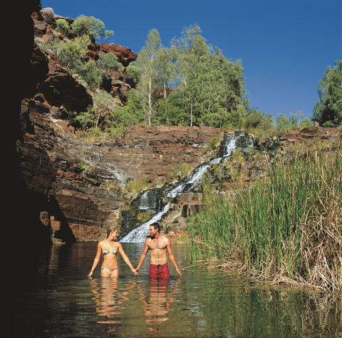 Fortescue Falls - Palm Beach Accommodation 0