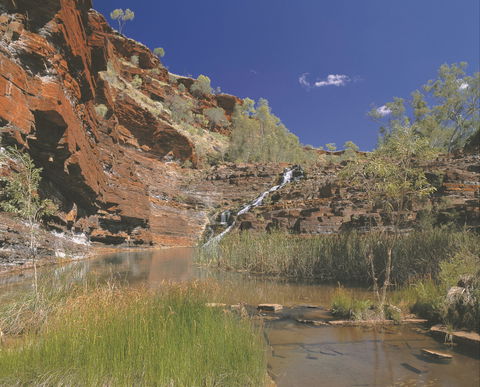 Fortescue Falls - Palm Beach Accommodation 1