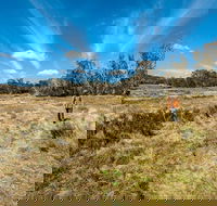 Goldseekers track - Palm Beach Accommodation