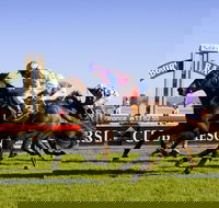 Hawkesbury Race Club - Palm Beach Accommodation