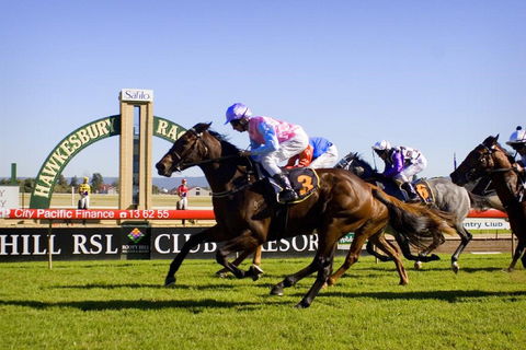 Hawkesbury Race Club - Palm Beach Accommodation 0