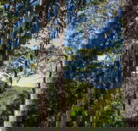 Hidden Treasure picnic area