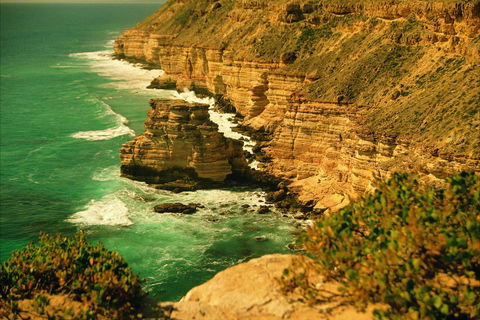Island Rock And Natural Bridge - Palm Beach Accommodation 0