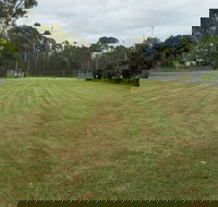 Island Park Recreation Reserve - Palm Beach Accommodation