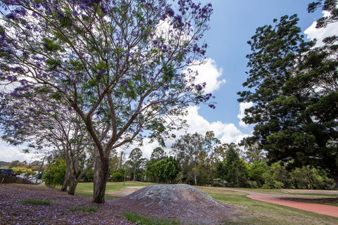 John Scott Park - Palm Beach Accommodation 0
