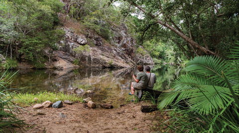 Jourama Falls, Paluma Range National Park - Palm Beach Accommodation 1