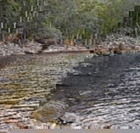 Lake Rowallan - Palm Beach Accommodation